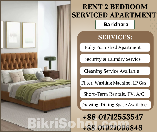 Furnished 2 Bedroom Studio Apartment RENT in Baridhara